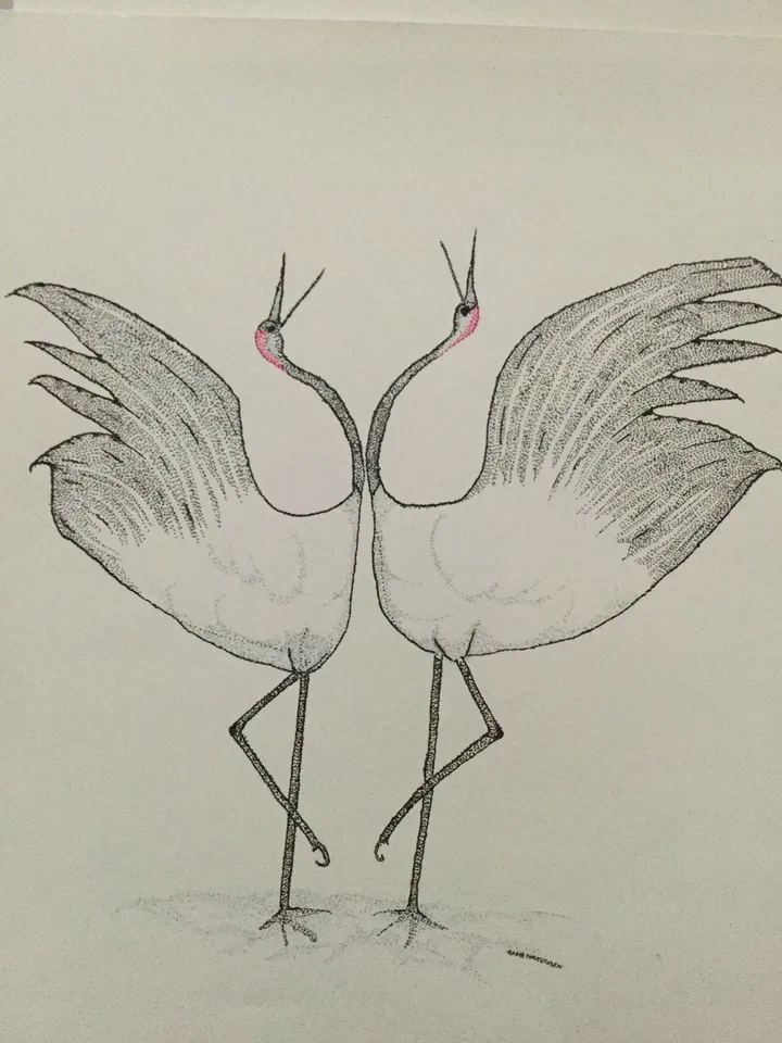 Tekening van twee vogels tegenover elkaar