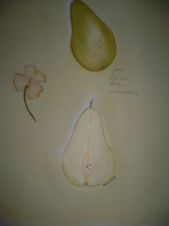 Tekening van een peer en een mensfiguur